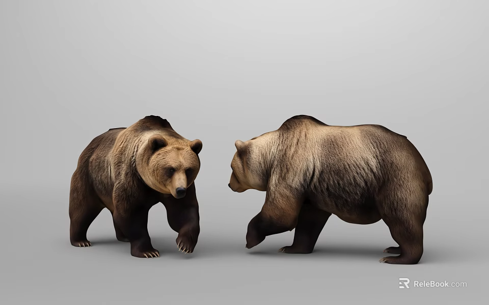Two Brown Bears Standing Facing Each Other On Gray Background 3d model 