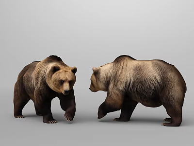 Two Brown Bears Standing Facing Each Other On Gray Background 3d model