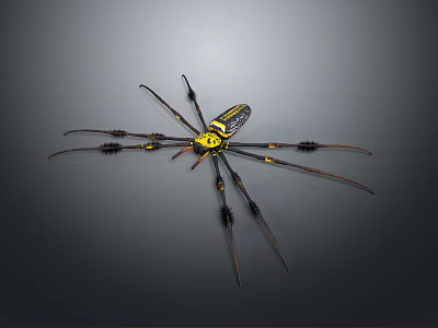 Black And Yellow Spider With Long Legs And Distinct Body Patterns On Gray Background 3d model