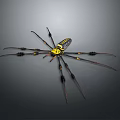 Black And Yellow Spider With Long Legs And Distinct Body Patterns On Gray Background