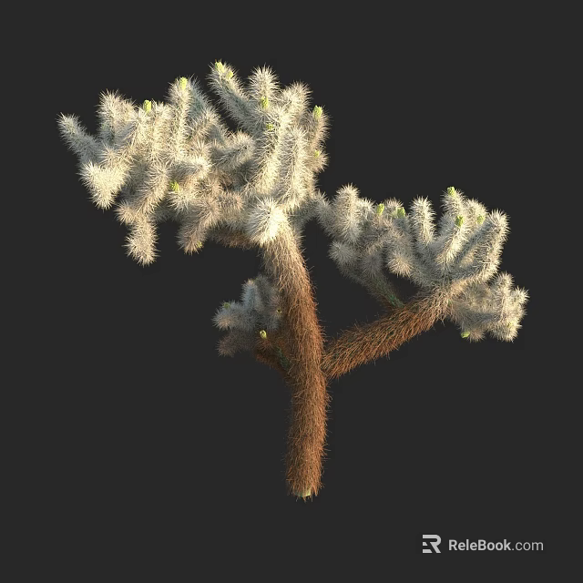 Unique Cactus Plant With Multiple Branches White Spines And Yellow Buds 3d model