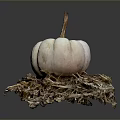 Fresh Small White Pumpkin Displayed On Dry Hay Bale With Gray Backdrop
