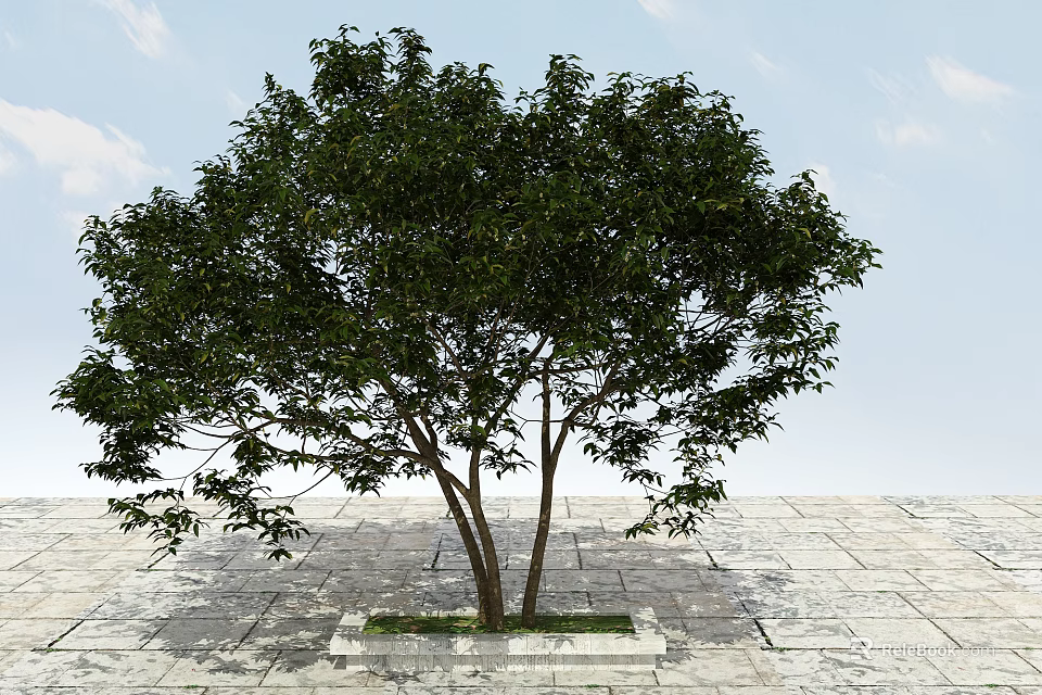 Square Tree Pit With Double Trunks Green Leaves And Stone Pavement 3d model 