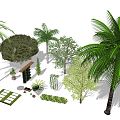 Modern Palm Tree Plant Combination 3d model