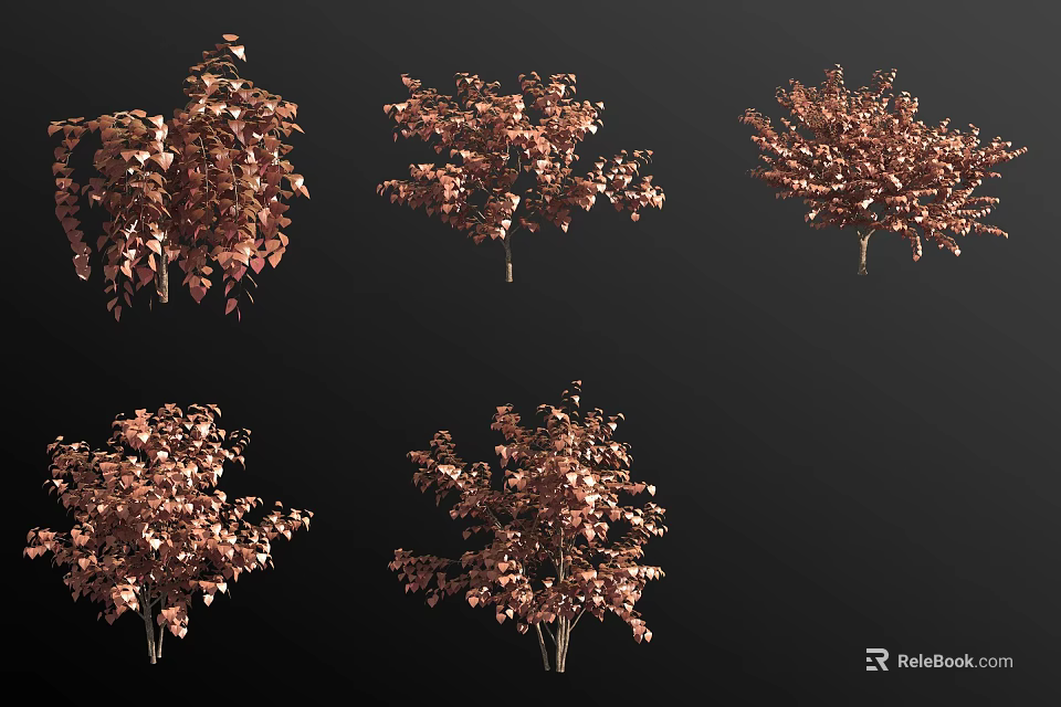 Copper Red Leaf Shrubs in Different Shapes Against Black Background as Decorative Garden Plants 3d model 