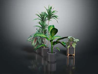 Various Indoor Houseplants With Green Leaves In Modern Pots On Dark Surface 3d model