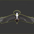 Eagle Flying with Spread Dark Wings White Patch and Orange Claws 3d model