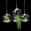Transparent Glass Hanging Planters with Green Plants and White Pebbles in Different Shapes
