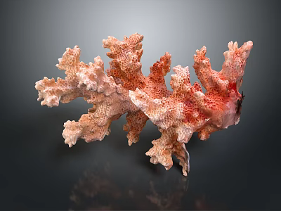 Vibrant Pink Branching Coral Polyps With Textured Surface Marine Life 3d model