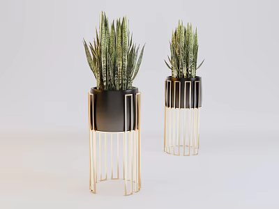 Two Bonsai Potted Sansevieria Plants In Black Pots With Gold Metal Stands 3d model