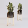 Two Bonsai Potted Sansevieria Plants In Black Pots With Gold Metal Stands