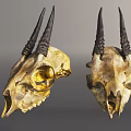 Two Animal Skulls With Black Horns Displayed As Natural Skeletal Specimens