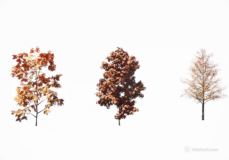 Vibrant Autumn Deciduous Trees With Red Orange Yellow Foliage For Outdoor Landscape Decoration 3d model 