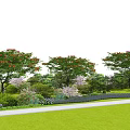 Beautiful Garden Scene with Red Flowering Trees Green Shrubs Purple Flowers and Green Lawn Pathway