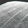 Off Road Car Driving On Rocky Terrain Leaving Deep Tire Tracks And Marks