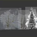 Snow Covered Trees Including Evergreen And Deciduous With Snow Piles And Reflection 3d model