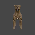 Realistic Brown Dog 3D Model With Detailed Fur And Expressive Features