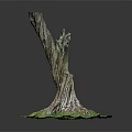 Natural Wooden Tree Stump Decor With Exposed Roots And Green Base