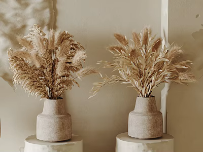 Dried Grasses in Gray Ceramic Vases on Round White Pedestals Against Beige Wall 3d model