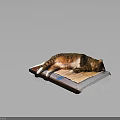 Orange and white cat lying relaxed sleeping comfortably on newspaper sheet 3d model