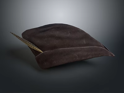 Stylish Dark Brown Corduroy Hat With Feather Decoration For Daily Use 3d model