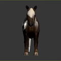 Brown And White Horse With White Mane Standing On Dark Background 3D Render 3d model