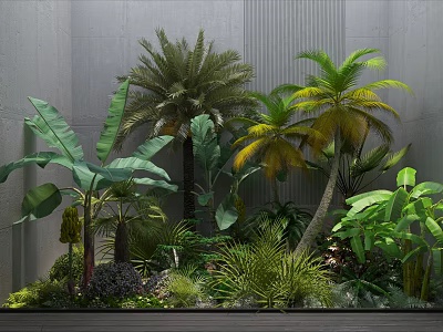Tropical Plants Including Palm Banana Trees And Ferns In Small Garden With Gray Wall Background 3d model