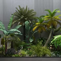 Tropical Plants Including Palm Banana Trees And Ferns In Small Garden With Gray Wall Background