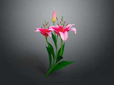 Vibrant Pink Lilies With Blooming Flowers Bud And Green Leaves Arrangement 3d model
