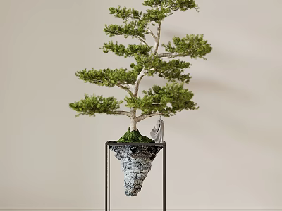 New Chinese Style Potted Plant Landscape Green Planting Pine Tree Landscape Pine Tree Courtyard Green Planting 3d model