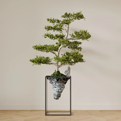 Indoor Hanging Basket Pine Plant With Conical Blue Pattern Pot And Black Metal Stand 3d model