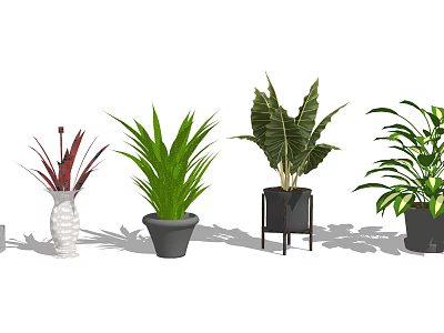 Stylish Bonsai Potted Plants with Varied Leaf Shapes in Different Decorative Pots 3d model