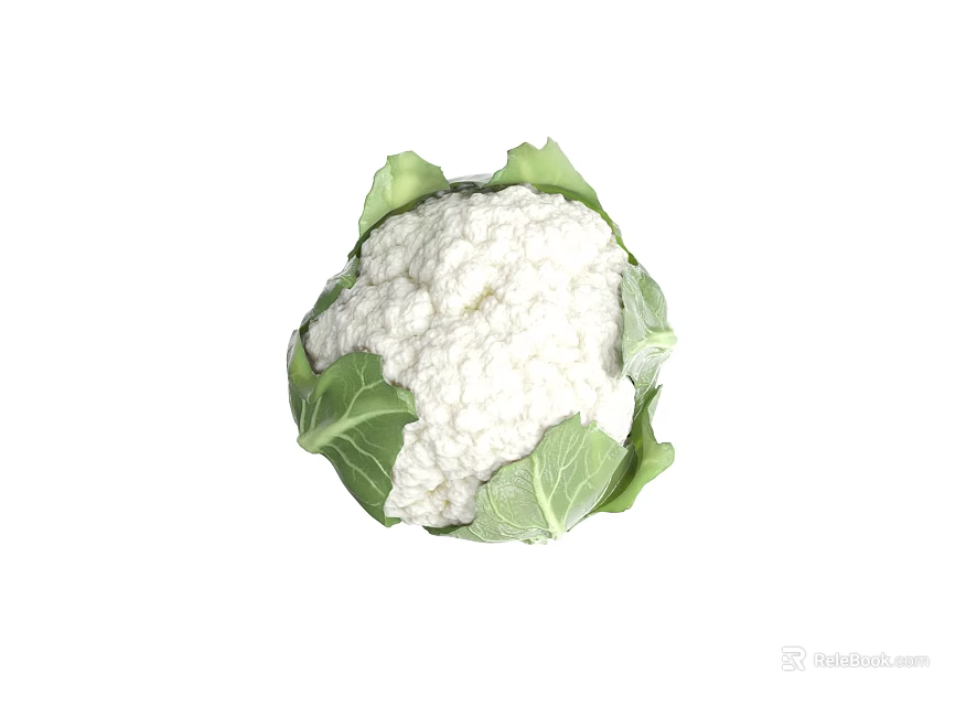 Fresh Organic Cauliflower With Green Leaves Whole Healthy Nutritious Vegetable For Cooking 3d model 