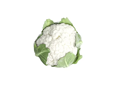 Fresh Organic Cauliflower With Green Leaves Whole Healthy Nutritious Vegetable For Cooking 3d model
