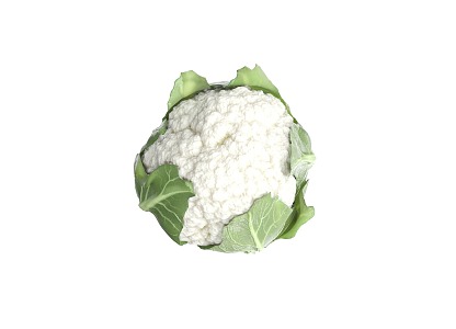 Modern cauliflower cabbage cauliflower 3d model