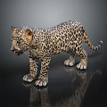 Young Leopard Cub With Spotted Fur Standing On Dark Reflective Surface 3d model