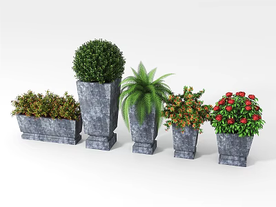 Various Bonsai Potted Plants in Gray Pots with Green Foliage and Colorful Flowers 3d model