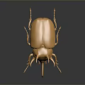 Golden Metallic Beetle With Shiny Surface And Detailed Horns On Dark Background