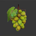 Fresh Ripe Green Grapes With Juicy Berries And Green Leaves On Vine
