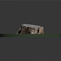 Green Plants Grass And Moss Surrounding Tree Stump In Round Display Natural Setting
