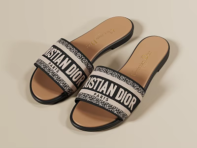 Christian Dior Flat Sandals With Logo Strap Comfortable Casual Style For Women Everyday Wear 3d model