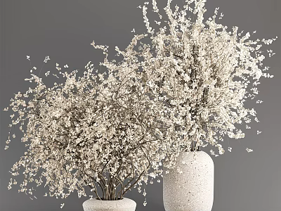 Fluffy White Blossoms In Textured Ceramic Vases For Elegant Home Decor 3d model