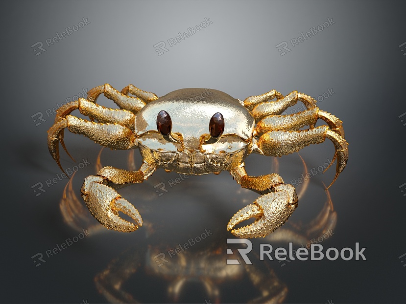 crab sea crab river crab hairy crab bread crab hermit crab big crab small crab marine animal fish model