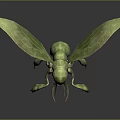 3D Rendered Green Fantasy Creature With Leaf Like Wings And Insect Features