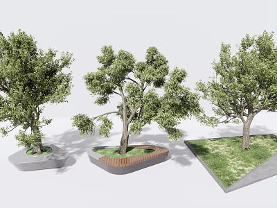 Tree Pit with Different Designs and Lush Green Trees in Concrete Brick Grass Landscape 3d model