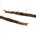 Natural Raw Wood Branches With Thorns And Rough Surface Texture 3d model