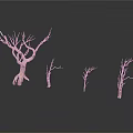 Dry Trees of Various Sizes Standing on White Background with Bare Branches