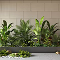 Indoor Landscape With Various Green Plants Large Leaves Stone Decorations And Light Brick Wall Background