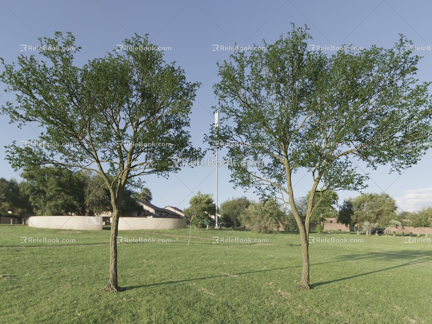 Landscape Tree Street Tree Park Tree Bifurcation Tree 3d model