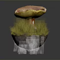 Fresh Orange Red Cap Mushroom With Yellow Edge And Green Grassy Base On Dark Background